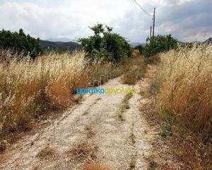 Οικόπεδο 8.800 τ.μ. πρός πώληση, Αργολίδα, Νέα Τίρυνθα-thumb-13