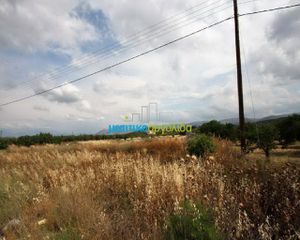 Οικόπεδο 8.800 τ.μ. πρός πώληση, Αργολίδα, Νέα Τίρυνθα-thumb-9