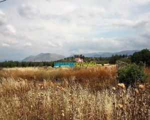 Οικόπεδο 8.800 τ.μ. πρός πώληση, Αργολίδα, Νέα Τίρυνθα-thumb-10