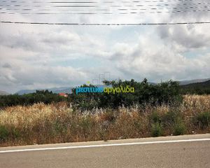 Οικόπεδο 8.800 τ.μ. πρός πώληση, Αργολίδα, Νέα Τίρυνθα-thumb-3
