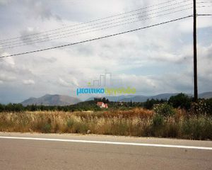 Οικόπεδο 8.800 τ.μ. πρός πώληση, Αργολίδα, Νέα Τίρυνθα-thumb-8