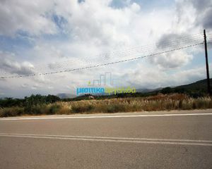 Οικόπεδο 8.800 τ.μ. πρός πώληση, Αργολίδα, Νέα Τίρυνθα-thumb-5