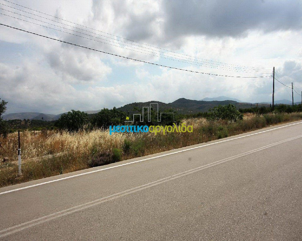 Οικόπεδο 8.800 τ.μ. πρός πώληση, Αργολίδα, Νέα Τίρυνθα