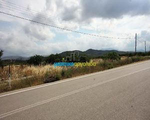 Οικόπεδο 8.800 τ.μ. πρός πώληση, Αργολίδα, Νέα Τίρυνθα-thumb-1