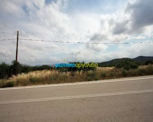 Οικόπεδο 8.800 τ.μ. πρός πώληση, Αργολίδα, Νέα Τίρυνθα-thumb-2