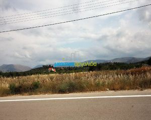 Οικόπεδο 8.800 τ.μ. πρός πώληση, Αργολίδα, Νέα Τίρυνθα-thumb-6