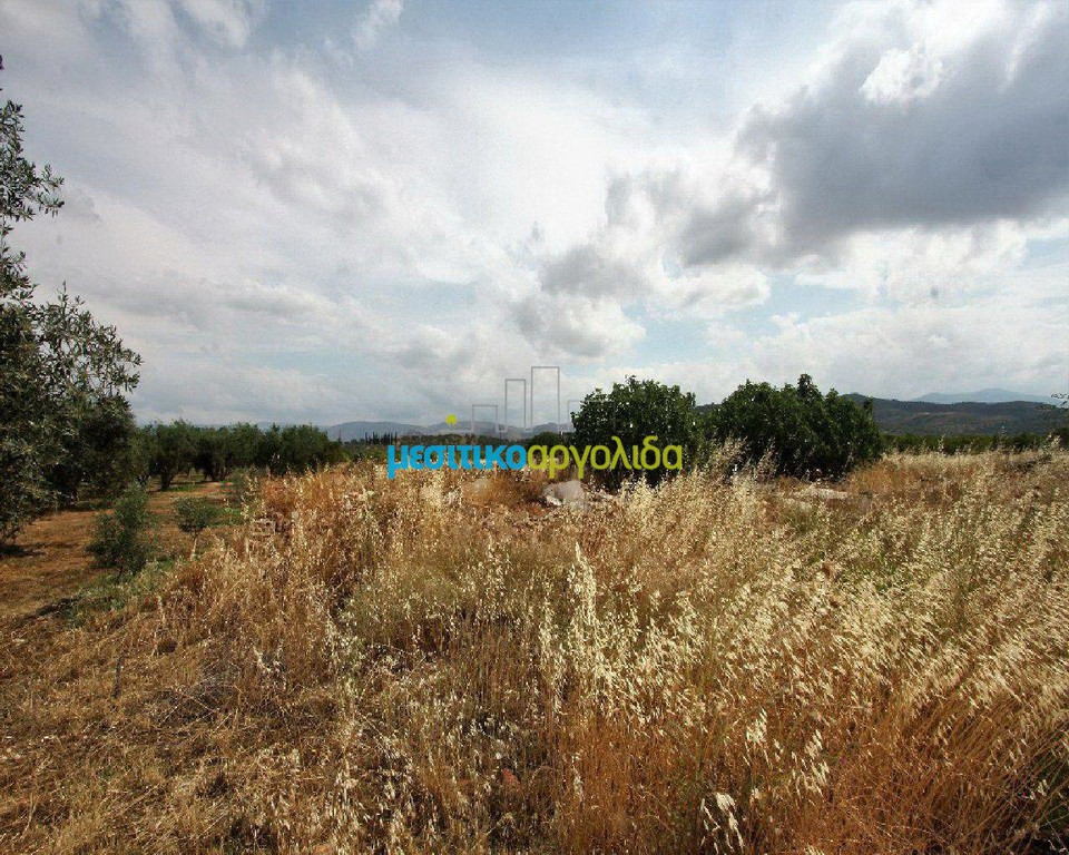 Οικόπεδο 8.800 τ.μ. πρός πώληση, Αργολίδα, Νέα Τίρυνθα