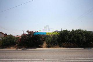 Οικόπεδο 4.000 τ.μ. για πώληση, Αργολίδα, Άργος-thumb-1