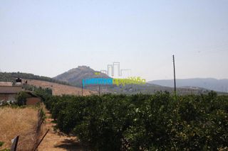 Οικόπεδο 4.000 τ.μ. για πώληση, Αργολίδα, Άργος-thumb-3