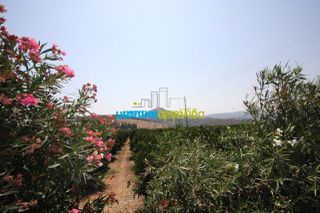 Οικόπεδο 4.000 τ.μ. για πώληση, Αργολίδα, Άργος-thumb-2