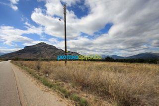 Οικόπεδο 5.000 τ.μ. για πώληση, Αργολίδα, Κουτσοπόδι-thumb-2