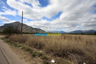 Οικόπεδο 5.000 τ.μ. για πώληση, Αργολίδα, Κουτσοπόδι-thumb-7