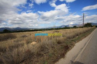 Οικόπεδο 5.000 τ.μ. για πώληση, Αργολίδα, Κουτσοπόδι-thumb-6