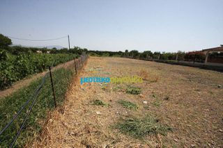 Μονοκατοικία 120 τ.μ. για πώληση, Αργολίδα, Άργος-thumb-4