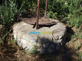 Μονοκατοικία 264 τ.μ. για πώληση, Αρκαδία, Τεγέα-thumb-15