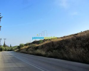 Οικόπεδο 46.000 τ.μ. για πώληση, Αργολίδα, Άργος-thumb-15