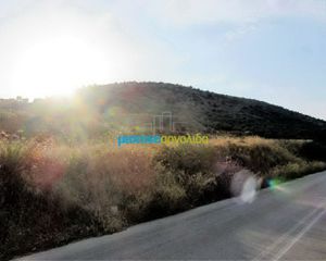 Οικόπεδο 46.000 τ.μ. για πώληση, Αργολίδα, Άργος-thumb-18