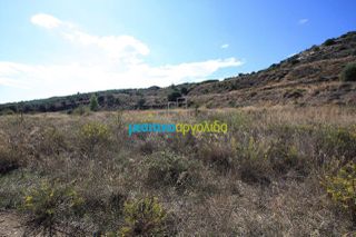 Οικόπεδο 46.000 τ.μ. για πώληση, Αργολίδα, Άργος-thumb-3