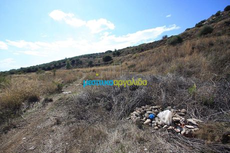 Οικόπεδο 46.000τ.μ. για πώληση-Άργος