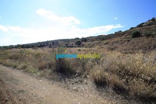 Οικόπεδο 46.000 τ.μ. για πώληση, Αργολίδα, Άργος-thumb-2