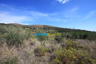 Οικόπεδο 46.000 τ.μ. για πώληση, Αργολίδα, Άργος-thumb-9