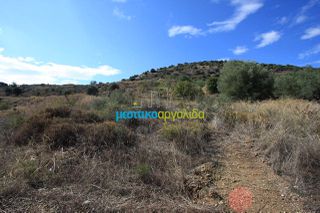Οικόπεδο 46.000 τ.μ. για πώληση, Αργολίδα, Άργος-thumb-11