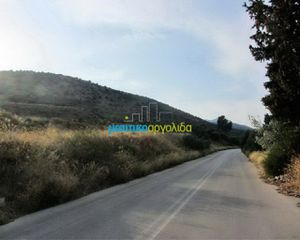 Οικόπεδο 46.000 τ.μ. για πώληση, Αργολίδα, Άργος-thumb-19