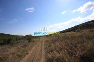 Οικόπεδο 46.000 τ.μ. για πώληση, Αργολίδα, Άργος-thumb-10