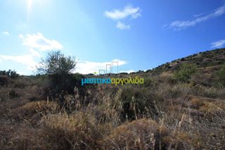 Οικόπεδο 46.000 τ.μ. για πώληση, Αργολίδα, Άργος-thumb-12