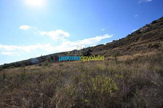Οικόπεδο 46.000 τ.μ. για πώληση, Αργολίδα, Άργος-thumb-6