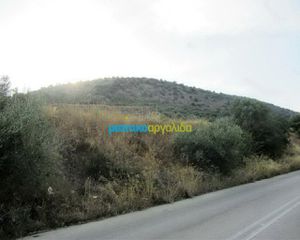 Οικόπεδο 46.000 τ.μ. για πώληση, Αργολίδα, Άργος-thumb-14