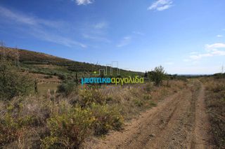 Οικόπεδο 46.000 τ.μ. για πώληση, Αργολίδα, Άργος-thumb-8