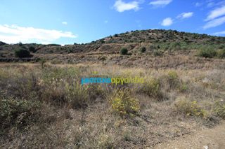 Οικόπεδο 46.000 τ.μ. για πώληση, Αργολίδα, Άργος-thumb-4