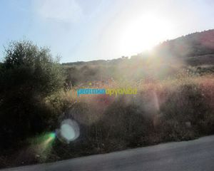 Οικόπεδο 46.000 τ.μ. για πώληση, Αργολίδα, Άργος-thumb-20