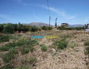 Οικόπεδο 595 τ.μ. για πώληση, Αργολίδα, Άργος-thumb-8