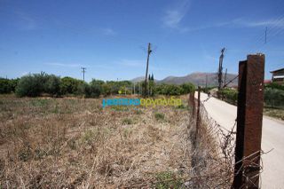 Οικόπεδο 595 τ.μ. για πώληση, Αργολίδα, Άργος-thumb-10