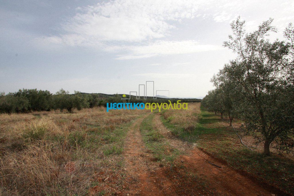 Αγροτεμάχια 3.183 τ.μ. για πώληση, Αργολίδα, Κουτσοπόδι