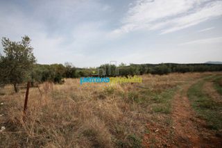Αγροτεμάχια 3.183 τ.μ. για πώληση, Αργολίδα, Κουτσοπόδι-thumb-1