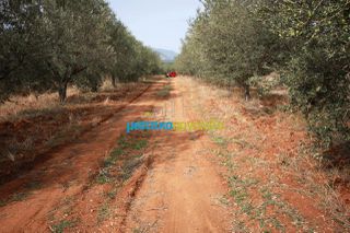 Αγροτεμάχια 3.183 τ.μ. για πώληση, Αργολίδα, Κουτσοπόδι-thumb-3