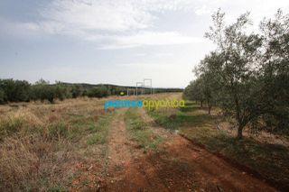 Αγροτεμάχια 3.183 τ.μ. για πώληση, Αργολίδα, Κουτσοπόδι-thumb-2