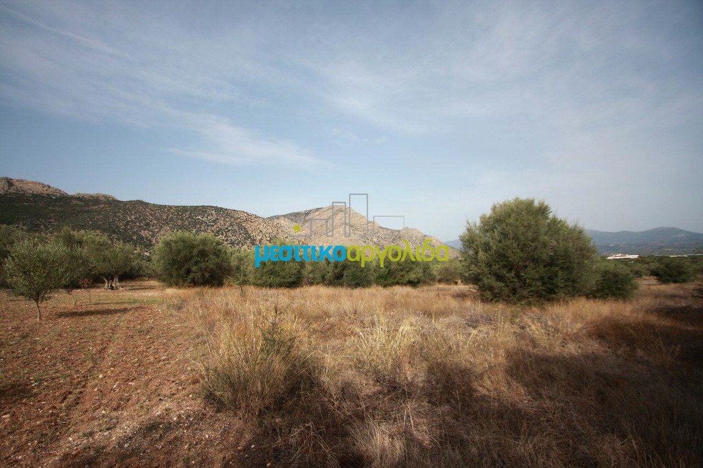 Parcel 2.260 sqm for sale, Akova