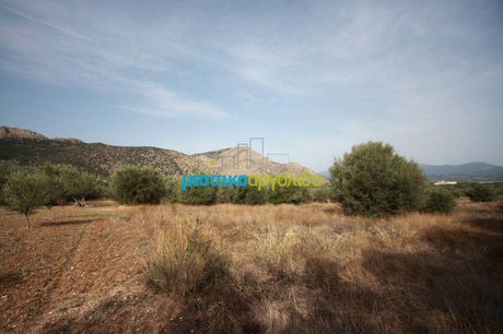 Αγροτεμάχια 2.260 τ.μ. για πώληση