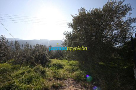 Οικόπεδο 2.077τ.μ. για πώληση-Βόρεια κυνουρία
