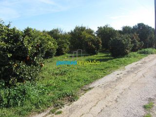 Οικόπεδο 6.000 τ.μ. για πώληση, Αργολίδα, Άργος-thumb-8