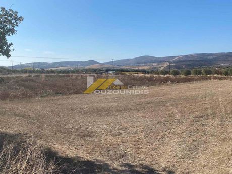Αγροτεμάχια 2.700τ.μ. για πώληση-Αλεξανδρούπολη » Άβαντας