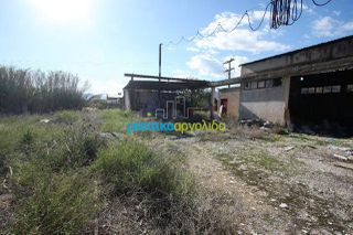 Κατάστημα 380 τ.μ. για πώληση, Αργολίδα, Λέρνα-thumb-10
