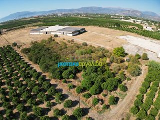 Αγροτεμάχια 6.132 τ.μ. προς πώληση, Δαλαμανάρα-thumb-5