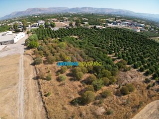 Αγροτεμάχια 6.132 τ.μ. προς πώληση, Δαλαμανάρα-thumb-6