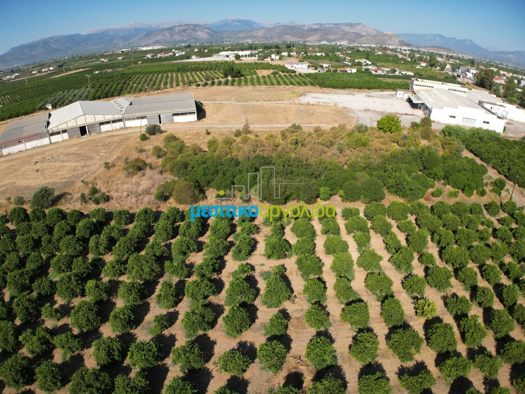 Αγροτεμάχια 6.132 τ.μ. προς πώληση, Δαλαμανάρα