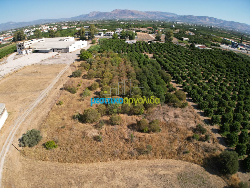 Αγροτεμάχια 6.132 τ.μ. προς πώληση, Δαλαμανάρα
